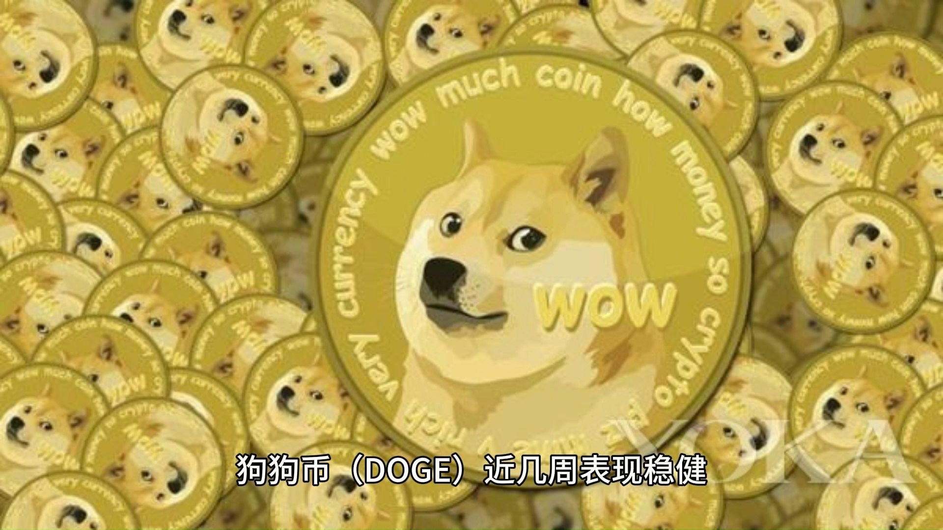 开云APP-狗狗币走高势惊人，一夜飙升USDT%，加密市场沸腾，市场关注
